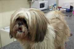 WhatsApp-Image-2026-01-02-at-5.05.15-PM