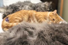 WhatsApp-Image-2026-01-02-at-5.05.16-PM-1