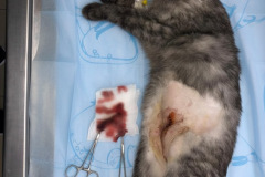 WhatsApp-Image-2026-01-02-at-5.05.16-PM