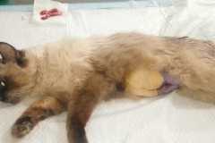 WhatsApp-Image-2026-01-02-at-5.05.17-PM-1