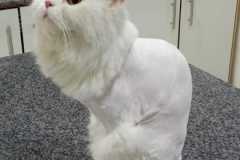 WhatsApp-Image-2026-01-02-at-5.05.18-PM-1