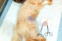 WhatsApp-Image-2026-01-02-at-5.05.18-PM