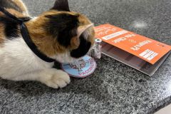 WhatsApp-Image-2026-01-02-at-5.05.19-PM-1