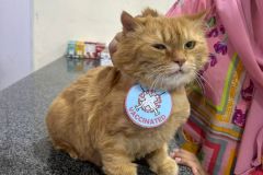 WhatsApp-Image-2026-01-02-at-5.05.19-PM