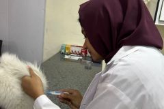 WhatsApp-Image-2026-01-02-at-5.05.20-PM-1