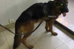 WhatsApp-Image-2026-01-02-at-5.05.20-PM-2