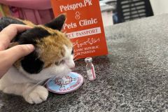 WhatsApp-Image-2026-01-02-at-5.05.20-PM