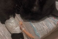 WhatsApp-Image-2026-01-02-at-5.05.22-PM