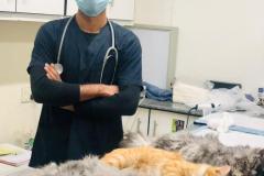 WhatsApp-Image-2026-01-02-at-5.05.23-PM