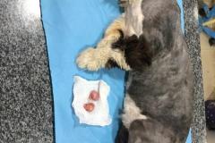 WhatsApp-Image-2026-01-02-at-5.05.24-PM