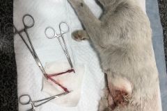 WhatsApp-Image-2026-01-02-at-5.05.25-PM-1