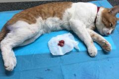 WhatsApp-Image-2026-01-02-at-5.05.25-PM