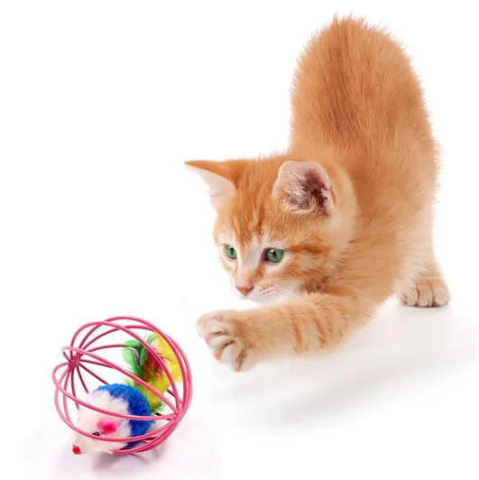 Ball With Mouse - ACCESSORIES