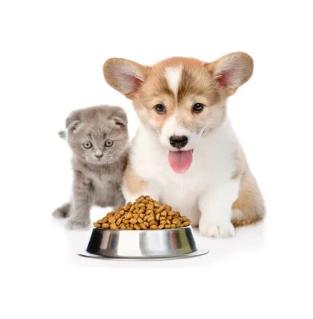 Cat And Dog Steel Bowl - ACCESSORIES