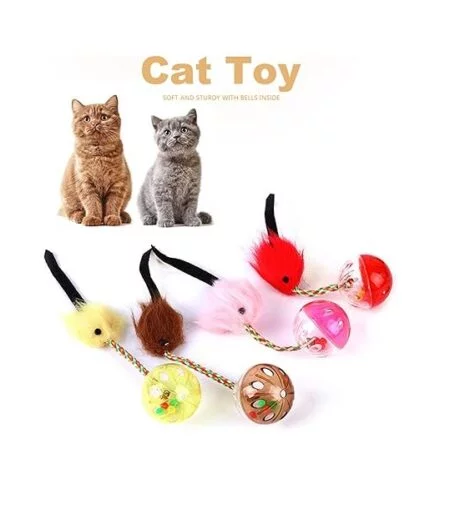 Cat Ball & Feather Cat Toy - ACCESSORIES