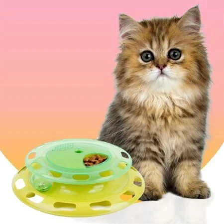 Cat Chase Track Cat Toy, Green - ACCESSORIES