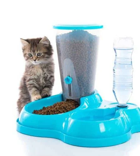 Cat Dog Automatic Feeder Drinking Dispenser - ACCESSORIES