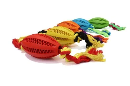 Dental Rugby Ball With Rope - ACCESSORIES