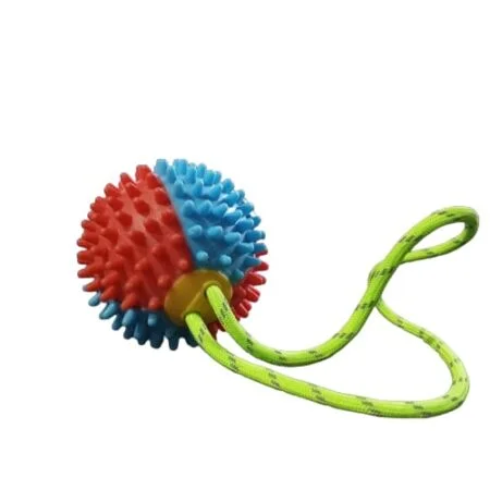 Dog Toy - ACCESSORIES
