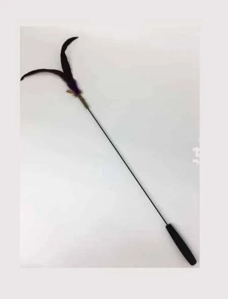 Extended Cat Stick - ACCESSORIES