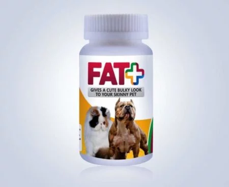 FAT+Suppliments - ACCESSORIES