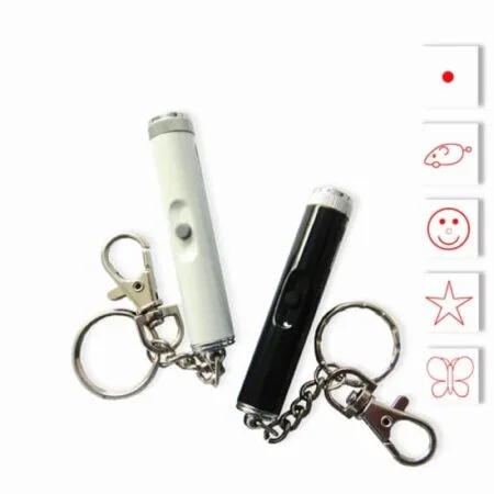 Laser Pointer Funny Cat Toy - ACCESSORIES