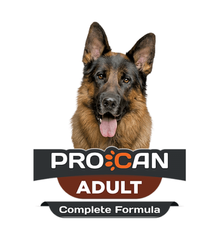 Procan Adult