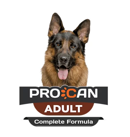 Procan Adult