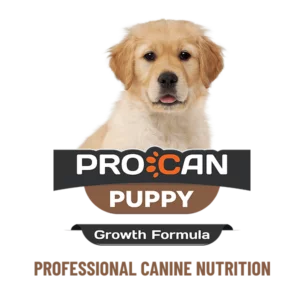 Procan Puppy