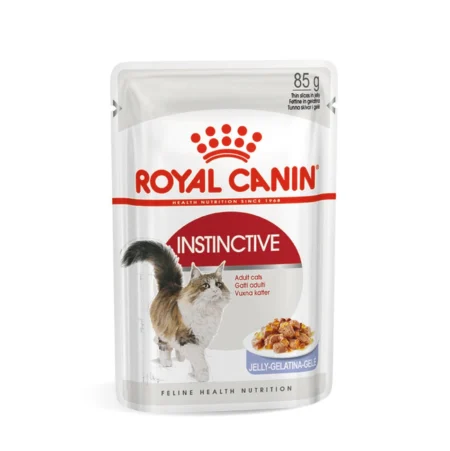 Royal Canin Adult Jelly