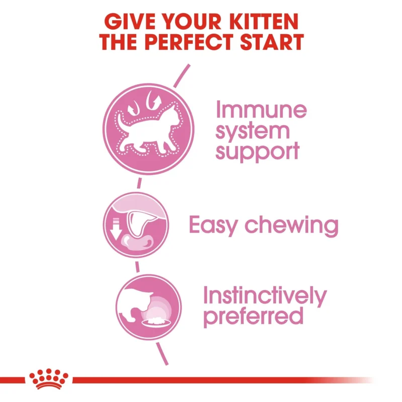 Royal Canin Kitten Jelly 4