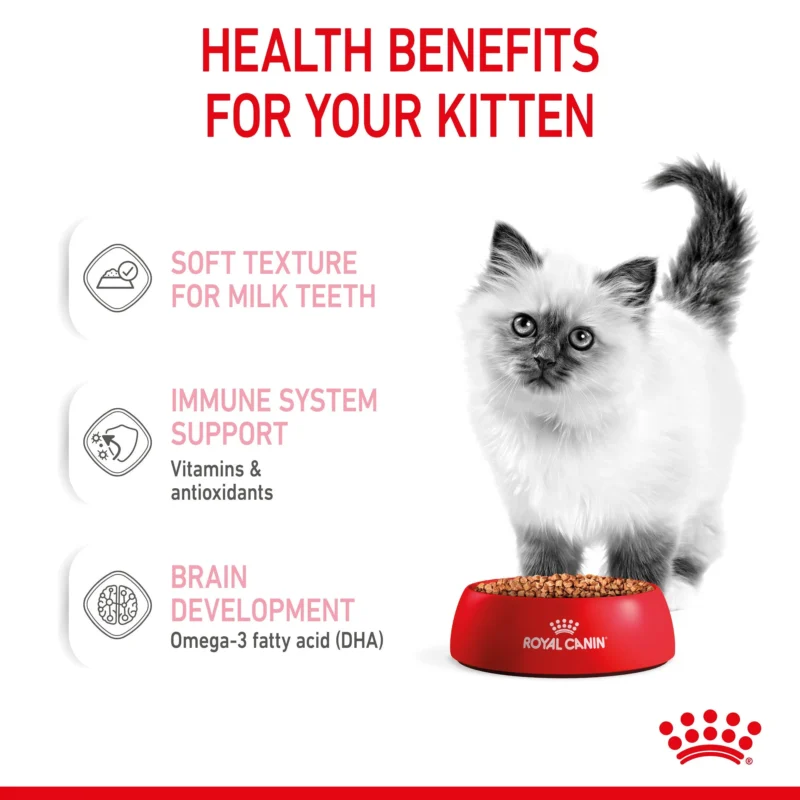 Royal Canin Kitten Jelly 7