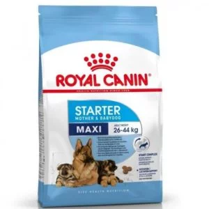 Royal Canin Maxi Starter