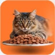 veterinary diets for cat