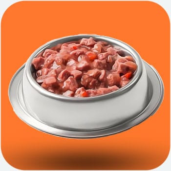 Wet Food