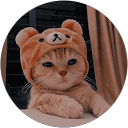 Manahil Sultan profile picture