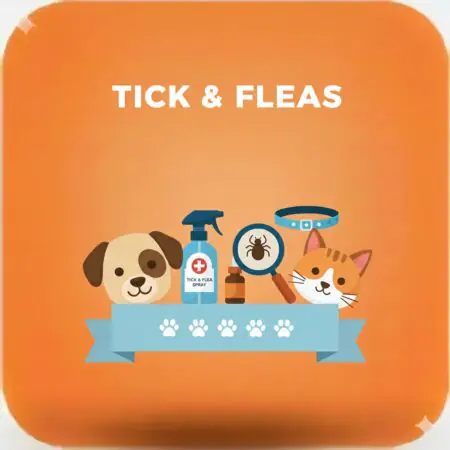 Tick & Fleas