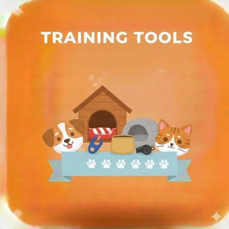 Training Tools