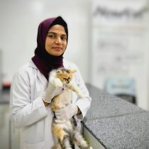 WhatsApp Image 2026-01-02 at 4.00.21 PM